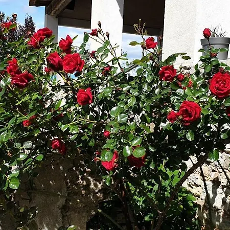 Panzió Neuf Des Greses Canaules-et-Argentières